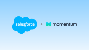 Salesforce and Momenetum logos on a light blue gradient background.