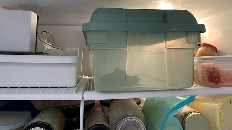 glass jars and food containers to keep food fresh in the fridge