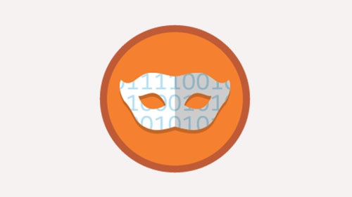 Data Mask logo