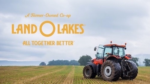 Measuring Brand Transformation With Land O’Lakes