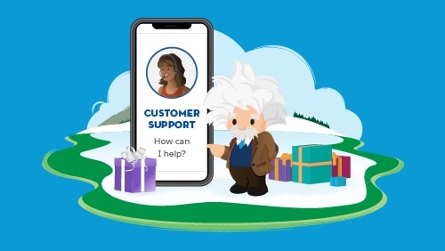 Einstein with customer support
