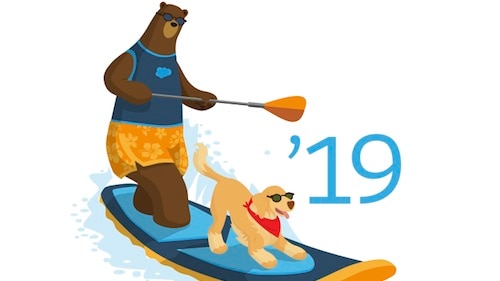 Summer '19 Sandbox Preview Instructions: How to See Salesforce's New Release