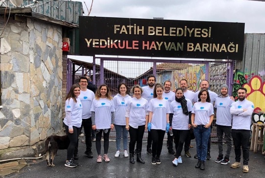Photo of Ritmus and Salesforce employees volunteering at an animal shelter in Istanbul