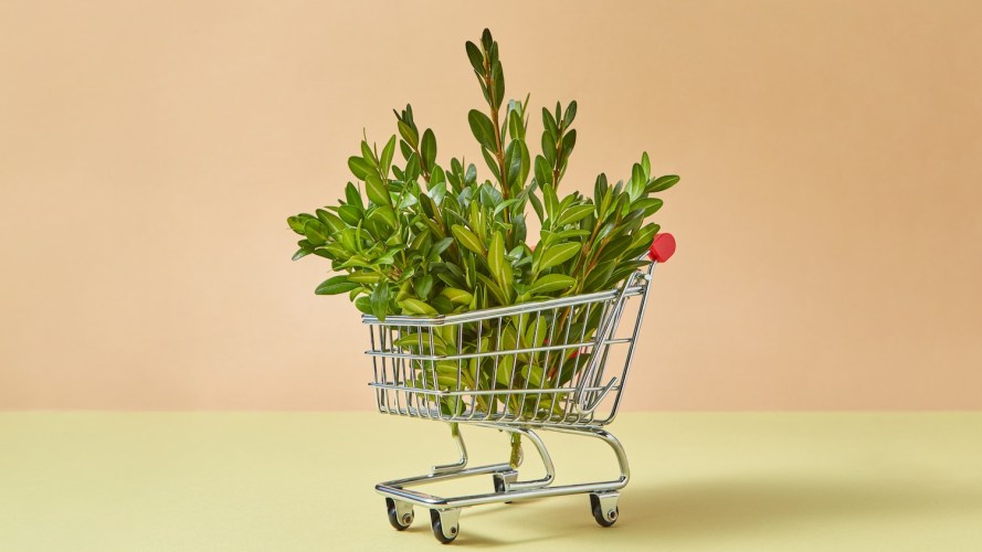 Shopping cart with green plants