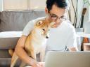 Man works on his laptop with a dog at his side