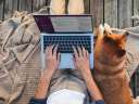 Woman working on laptop with dog nearby, showing Slack for small business