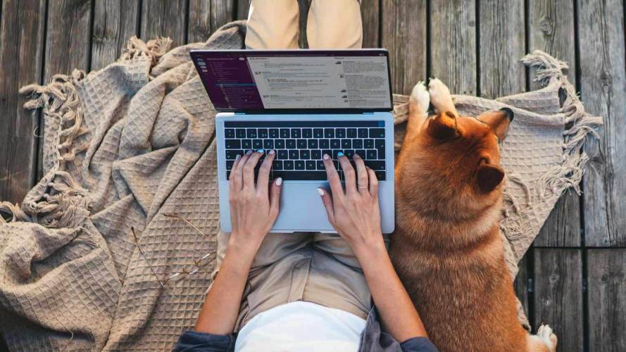Woman working on laptop with dog nearby, showing Slack for small business