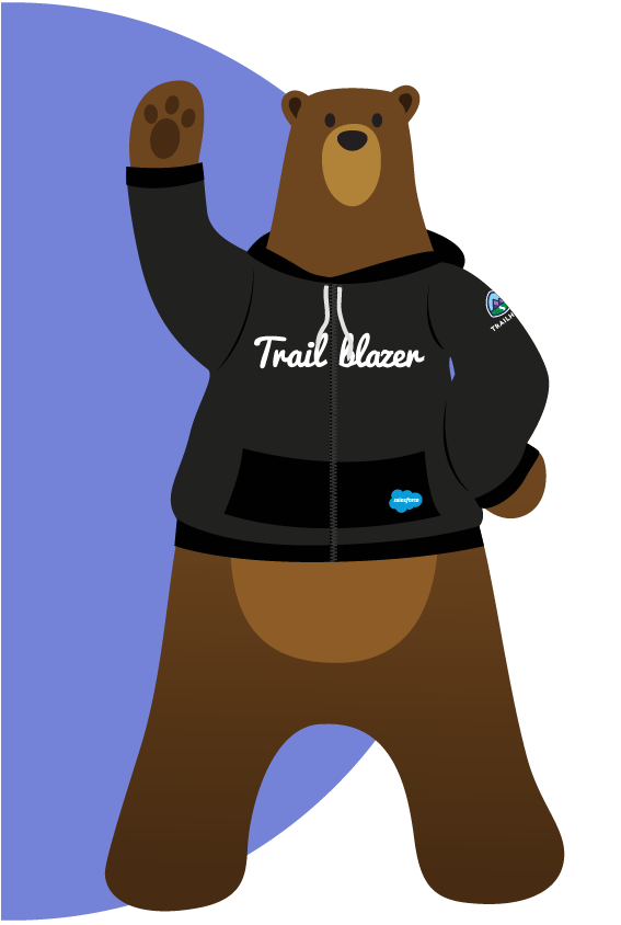 Codey the bear illustration