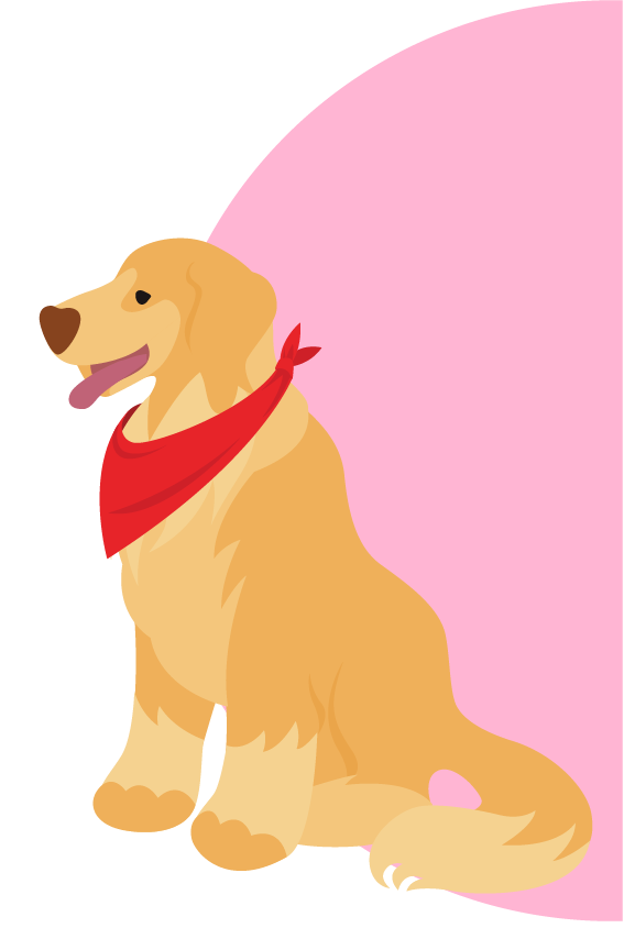 Koa the dog illustration