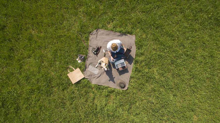 aerial view of person with dog having a picnic in the middle of a grassy patch: 5G CSPS future