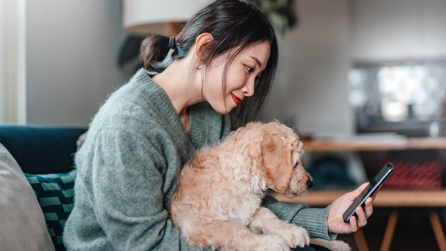 woman holding her dog and looking at her mobile phone: CRM insurance claims policy management