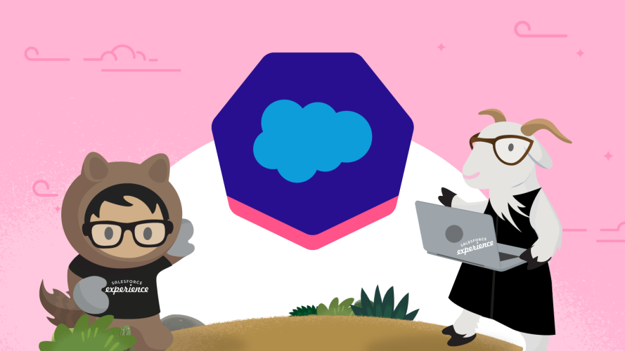 Designer Astro and Cloudy stood next to a Salesforce certification logo against a pink backdrop.