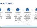 Trusted AI Principles: