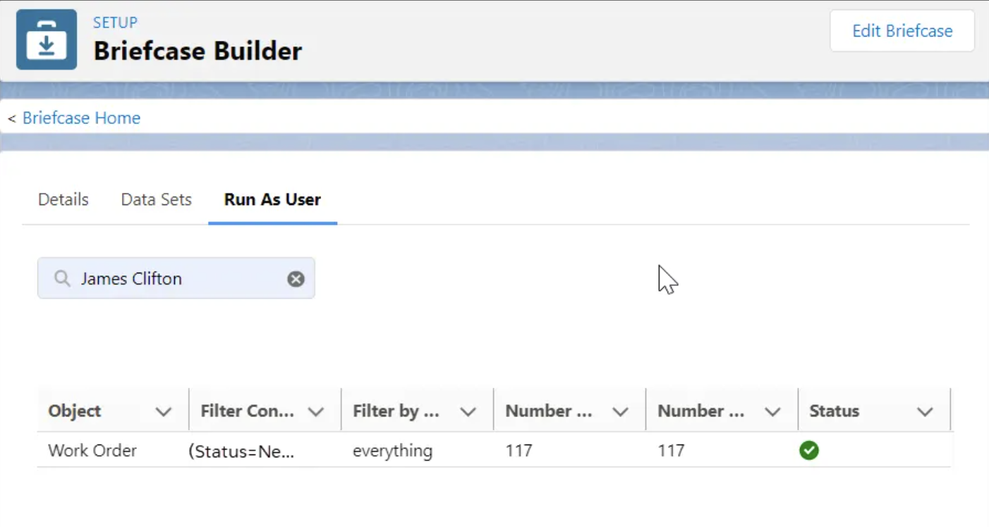 Briefcase Builder panel showing the "Run as User" function, with a status bar displaying work order info.