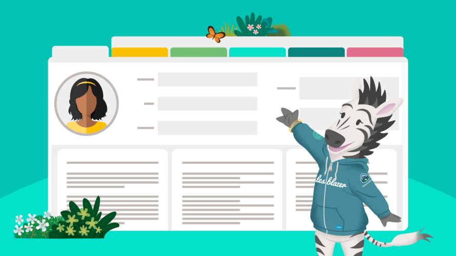 An illustration of Salesforce’s Zig the Zebra character pointing to a buyer persona card