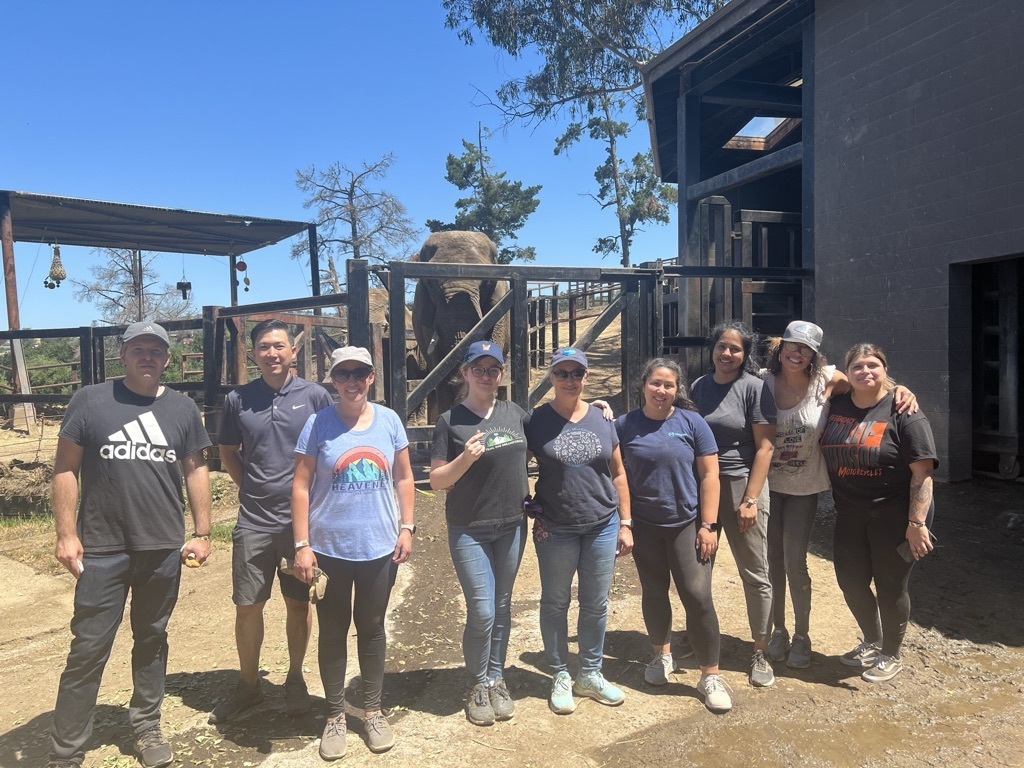 Stephanie's and her team at a VTO (Volunteer Time Off) event cleaning the elephant exhibit at the Oakland Zoo.