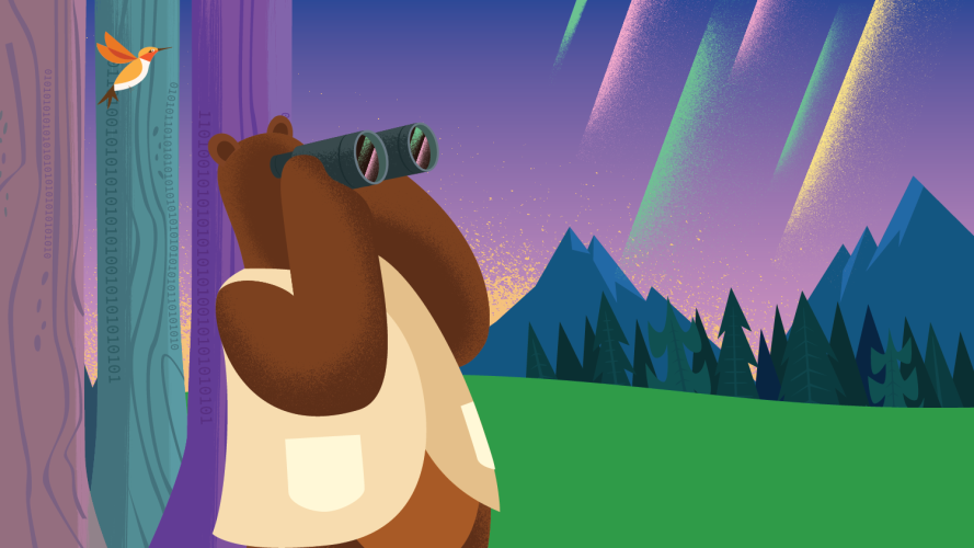 Codey the bear using binoculars to view the landscape