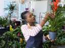A woman learns how to start a small business in a floral shop.
