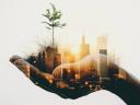 Illustration showing a hand holding a tree and a city, visualizing sustainability for smb