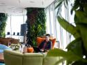 A man sits in a colorful office filled with plants and windows, working on his laptop.