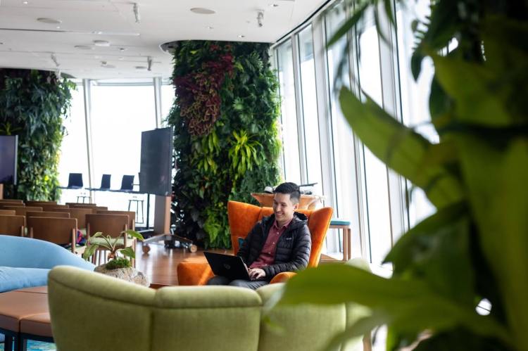 A man sits in a colorful office filled with plants and windows, working on his laptop.