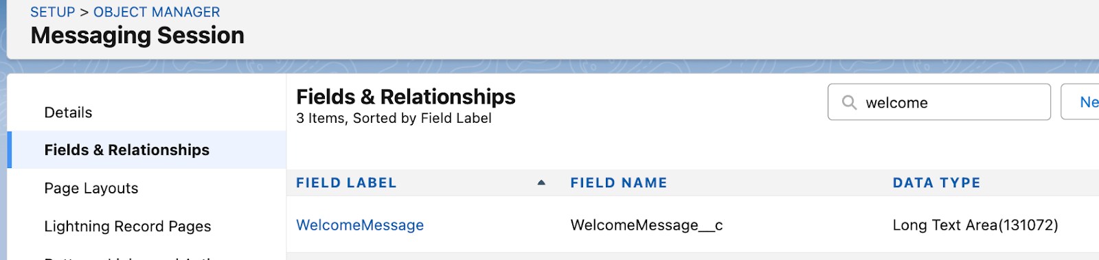 Detail of Setup screen for Fields & Relationships.