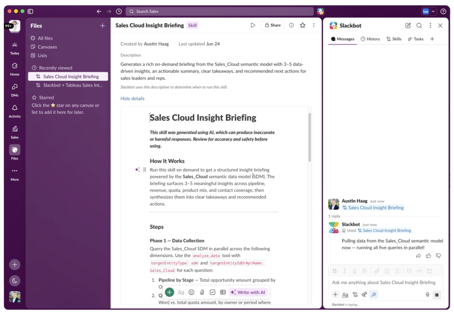 Document configuration interface displaying details, parameters, and structural execution steps for a Sales Cloud Insight Briefing skill.