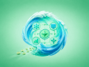Illustration of a wave of cash, on a green background.
