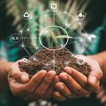 Economia Donut: Conheça o modelo voltado ao crescimento sustentável