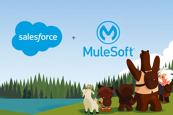 MuleSoft and Salesforce Q&A: Integration and Data