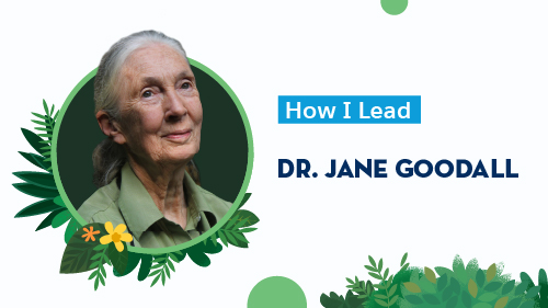 How I lead: Dr. Jane Goodall