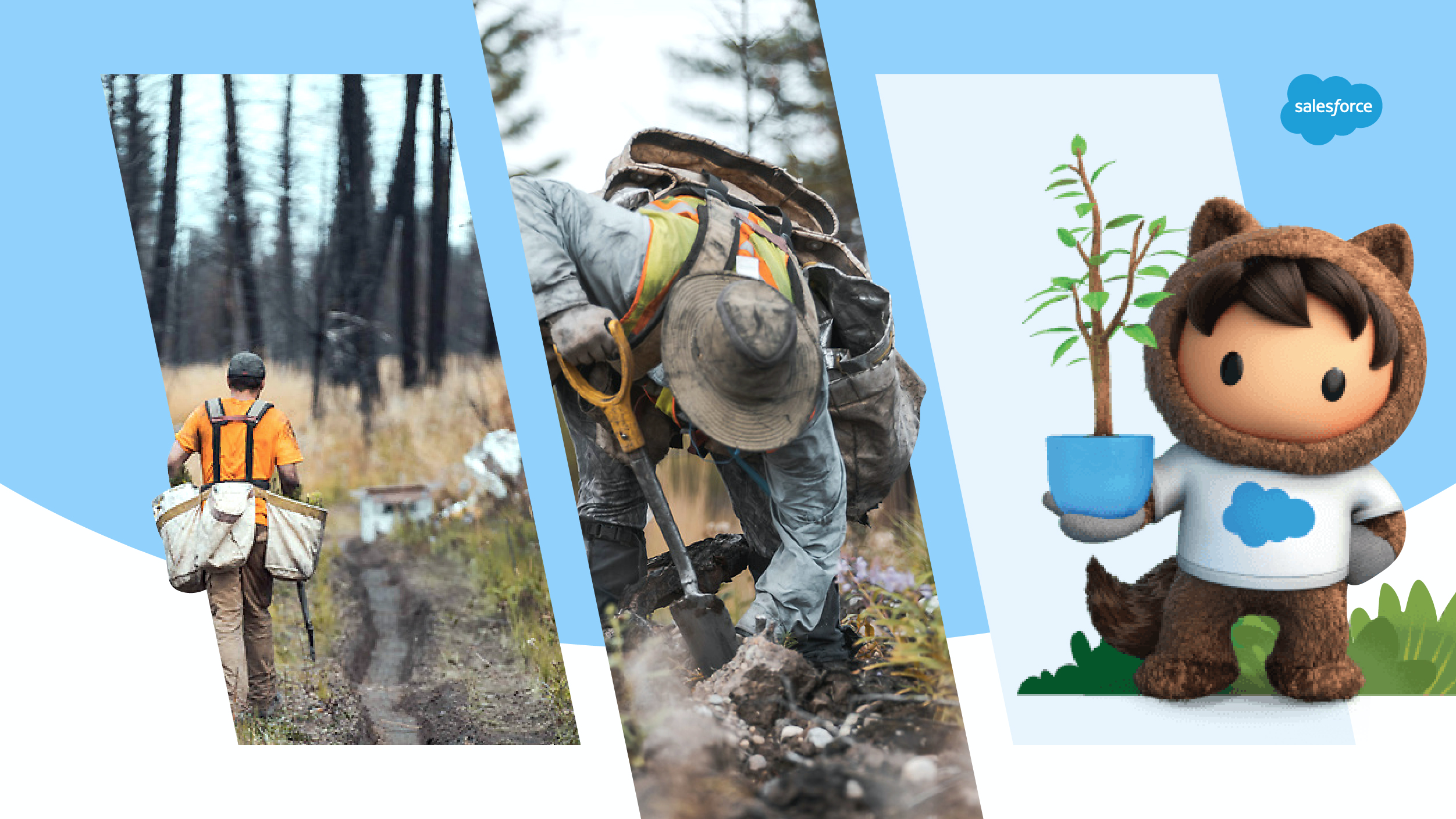 How Businesses Can Build Upon Salesforce Canada’s Reforestation Efforts With One Tree Planted