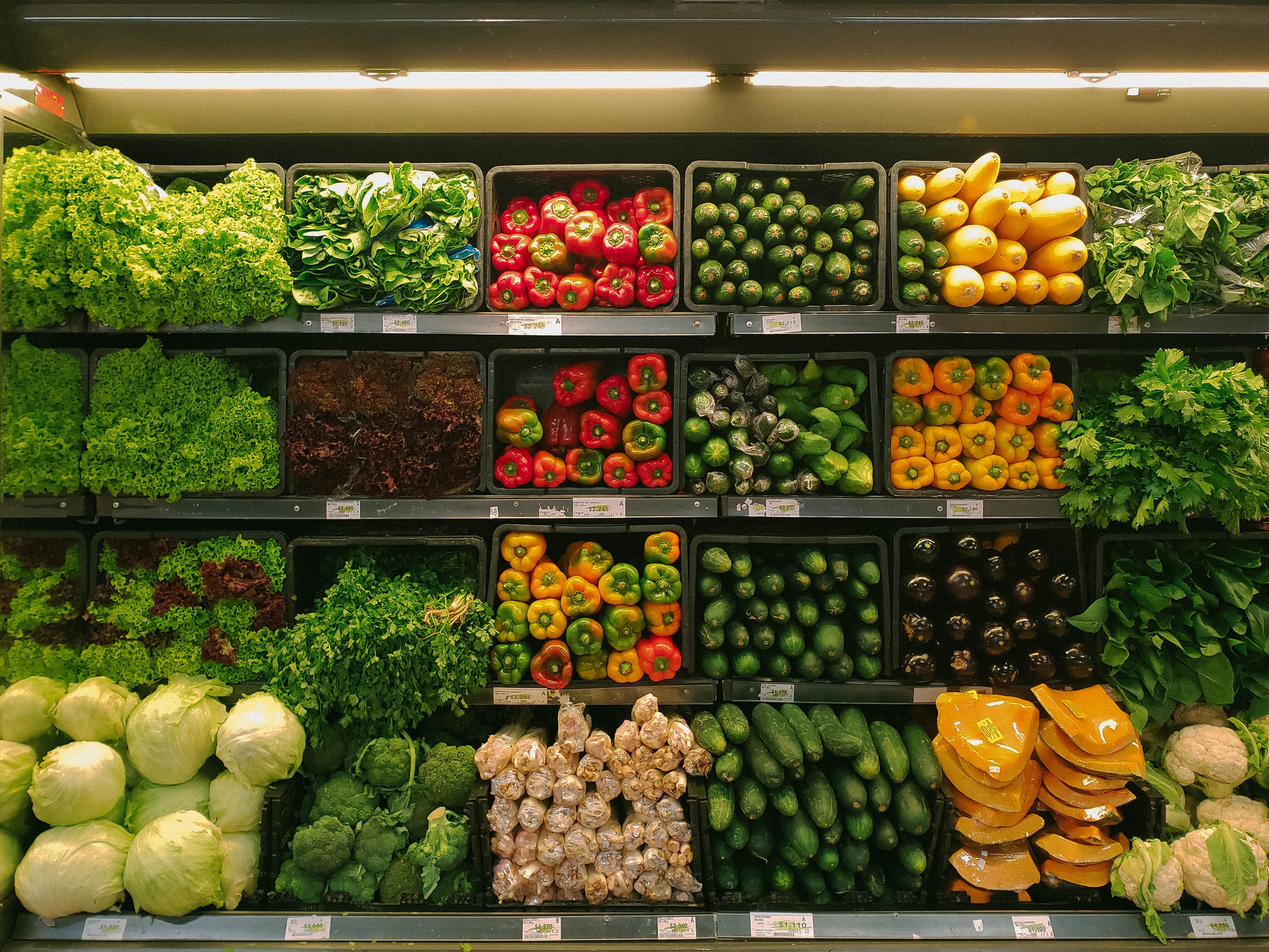 E-Food: Entdecken Sie das Potenzial und optimieren Sie Ihr Angebot