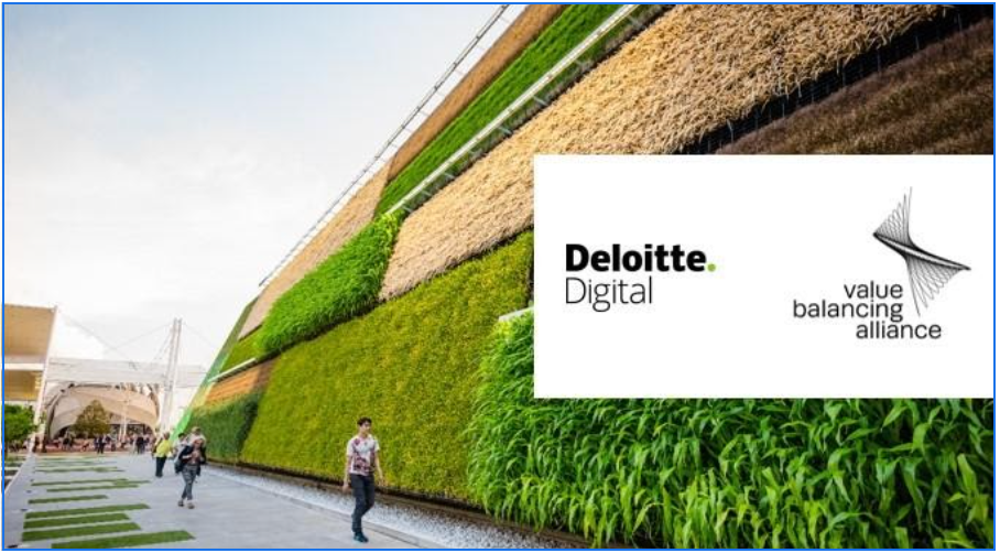 Die Value Balancing Alliance sorgt zusammen mit Deloitte Digital und Salesforce für mehr Nachhaltigkeit