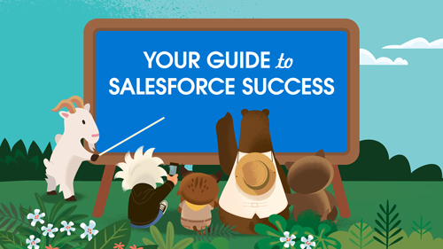 Your Handbook to Optimise the Implementation of Salesforce Marketing Cloud