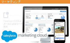 Salesforce Marketing Cloud Active Audiences が登場