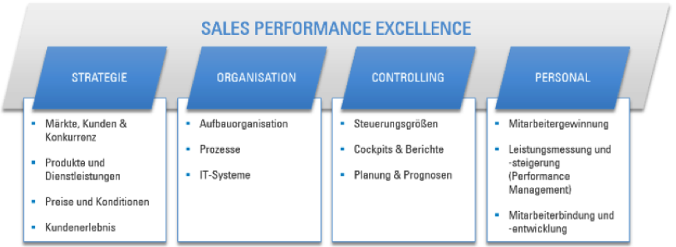 Sales Performance Excellence