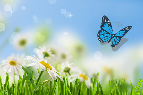 Spring has Sprung! 5 Top Features of the Sales Cloud Spring '16 Release