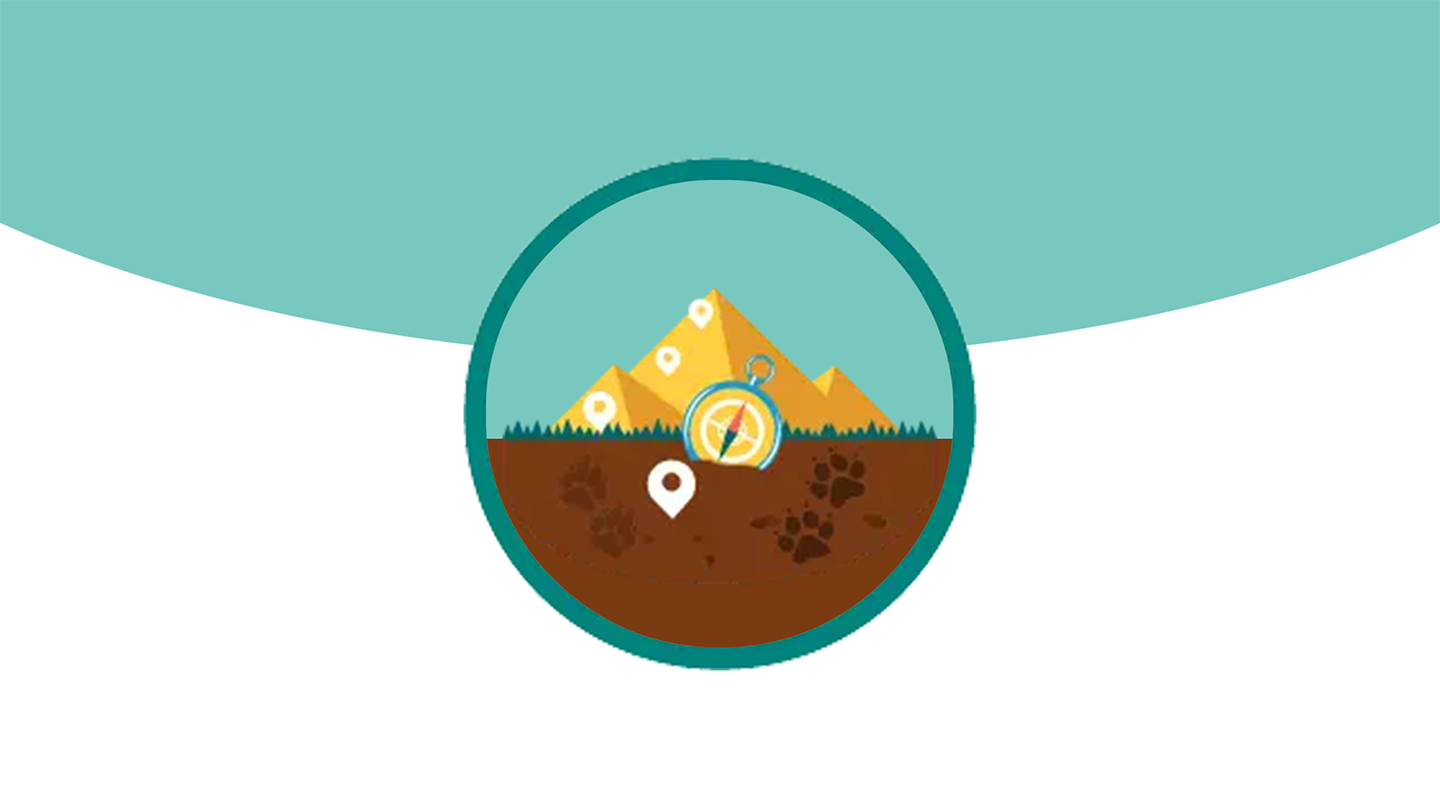 How to Win More Deals with Salesforce