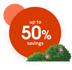 Bundle Savings up to 50%