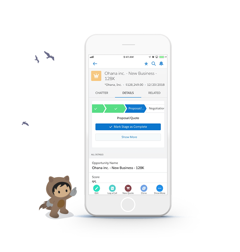 Maximize your time spent selling with Sales Cloud.