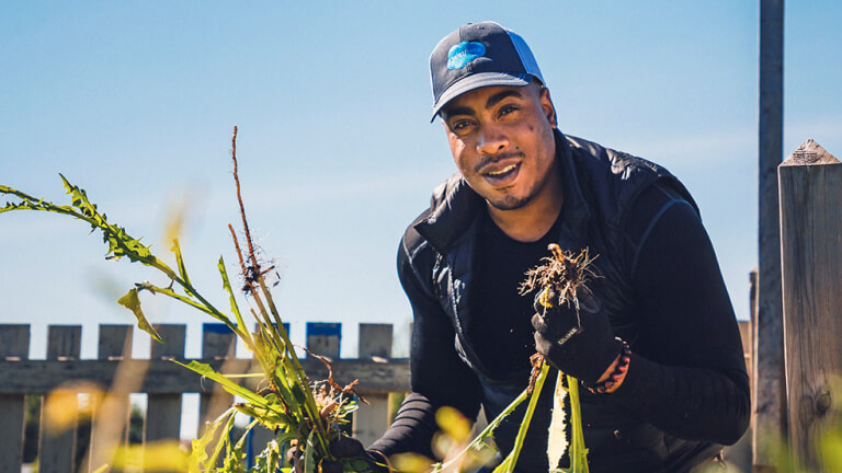 A worker walks through an industrial array of solar panels.