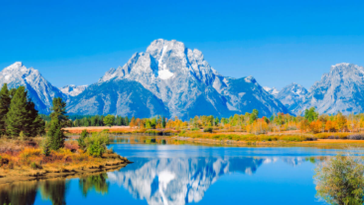 Wyoming Office State Lands Government, Platform