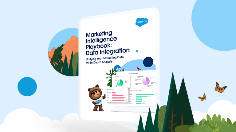 data-integration-playbook-cover-image