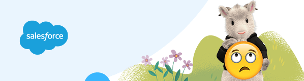 Salesforce Technical Difficulties