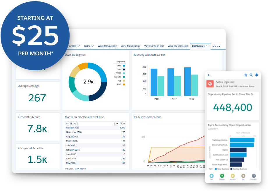 Starting at $25 per month*