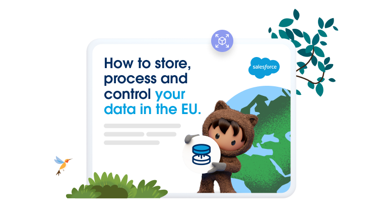 Image of globe showing EU with text “how to store process and control your data in the EU.” 
