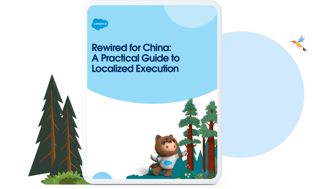 China Localization Guide Cover Image