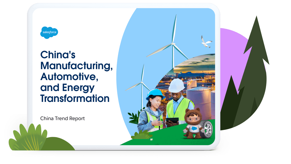 China MAE report cover