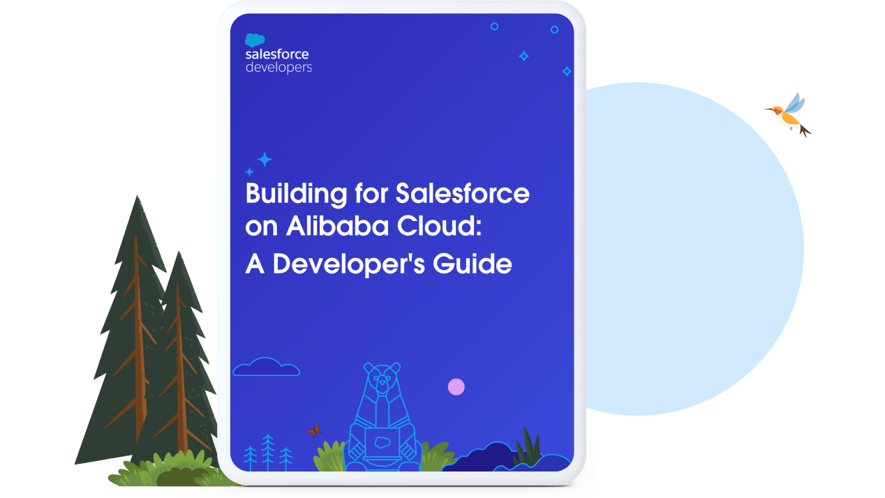 A developer's guide cover